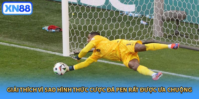 Giải thích vì sao hình thức cược đá pen rất được ưa chuộng