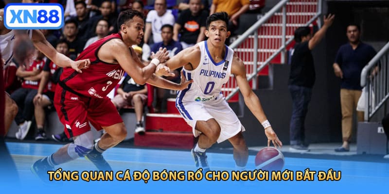 Tổng quan cá độ bóng rổ cho người mới bắt đầu